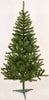 FIR TREE 6 1/2 FT CL TILLAMOOOK