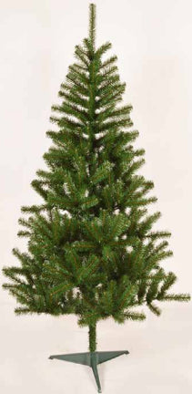 FIR TREE 6 1/2 FT CL TILLAMOOOK