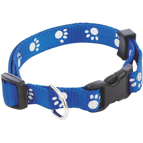Westminster Pet Ruffin' it Paw Print Reflective 8 In. to 12 In. Nylon Dog Collar