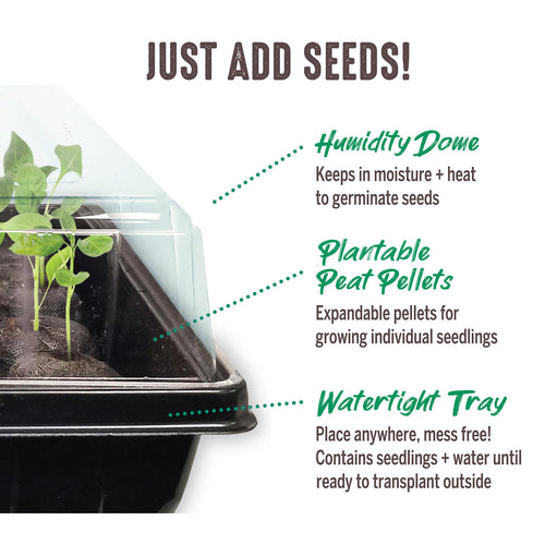 Ferry-Morse Jiffy Seed Starting Kit 50 Cell 42mm Peat Pellets