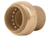 Sharkbite Brass Push Cap